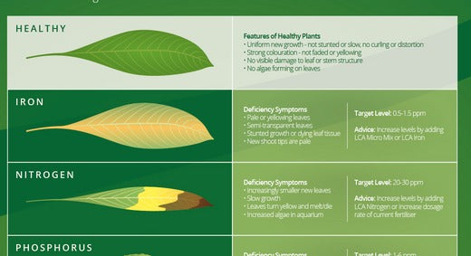 LCA Plant deficiency Guide Header