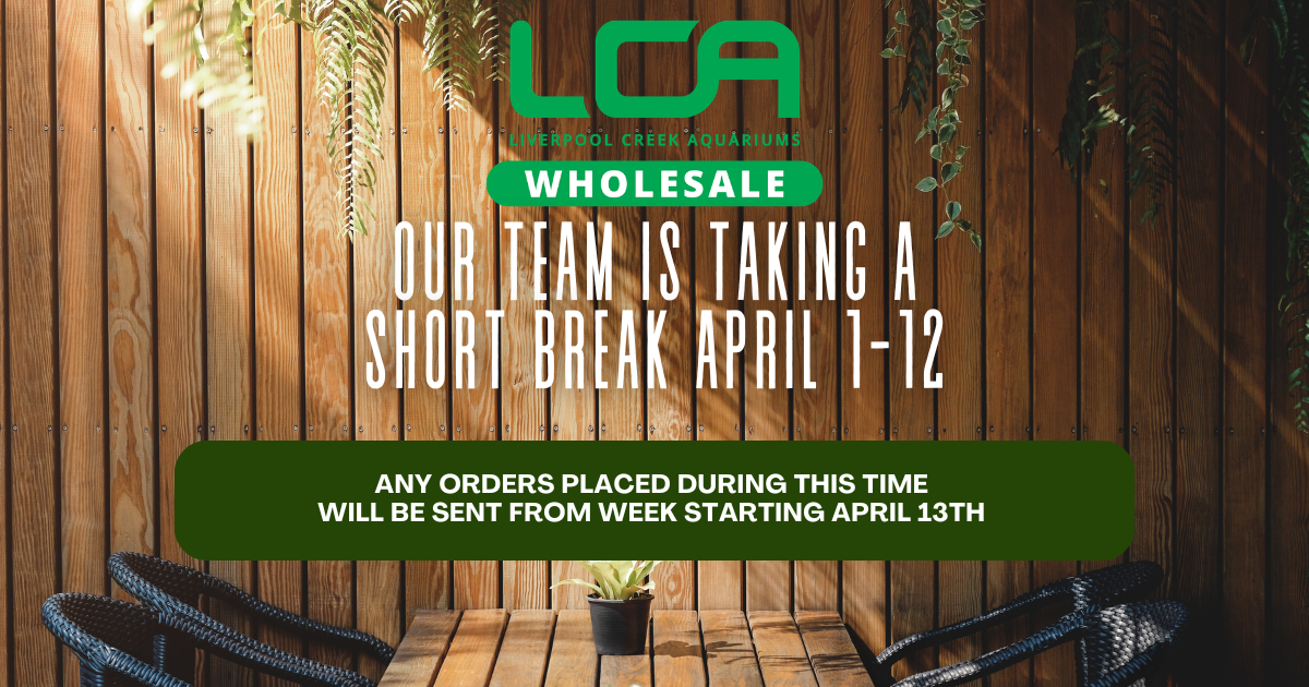 🐟Liverpool Creek Aquariums - WHOLESALE